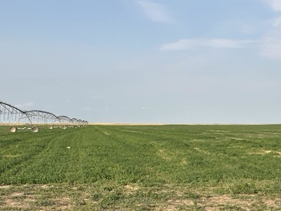 Kit Carson/Washington County Irrigated Land
