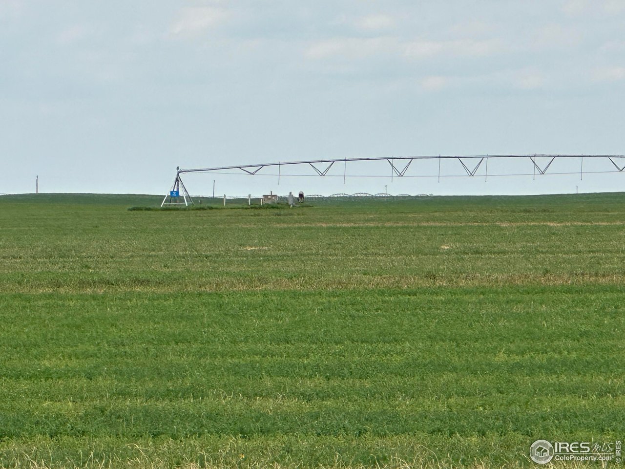 PP Rd