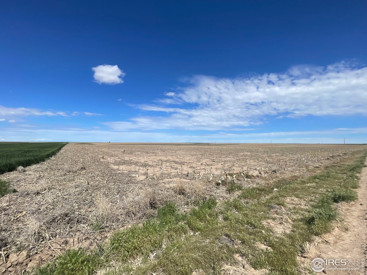 TBD Cnty Rd 55